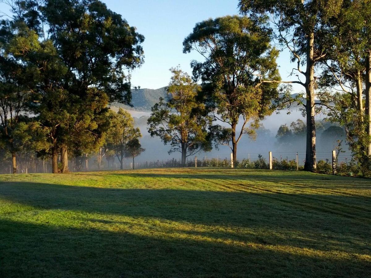 Elfin Hill Vineyard Accommodation Pokolbin Exteriér fotografie