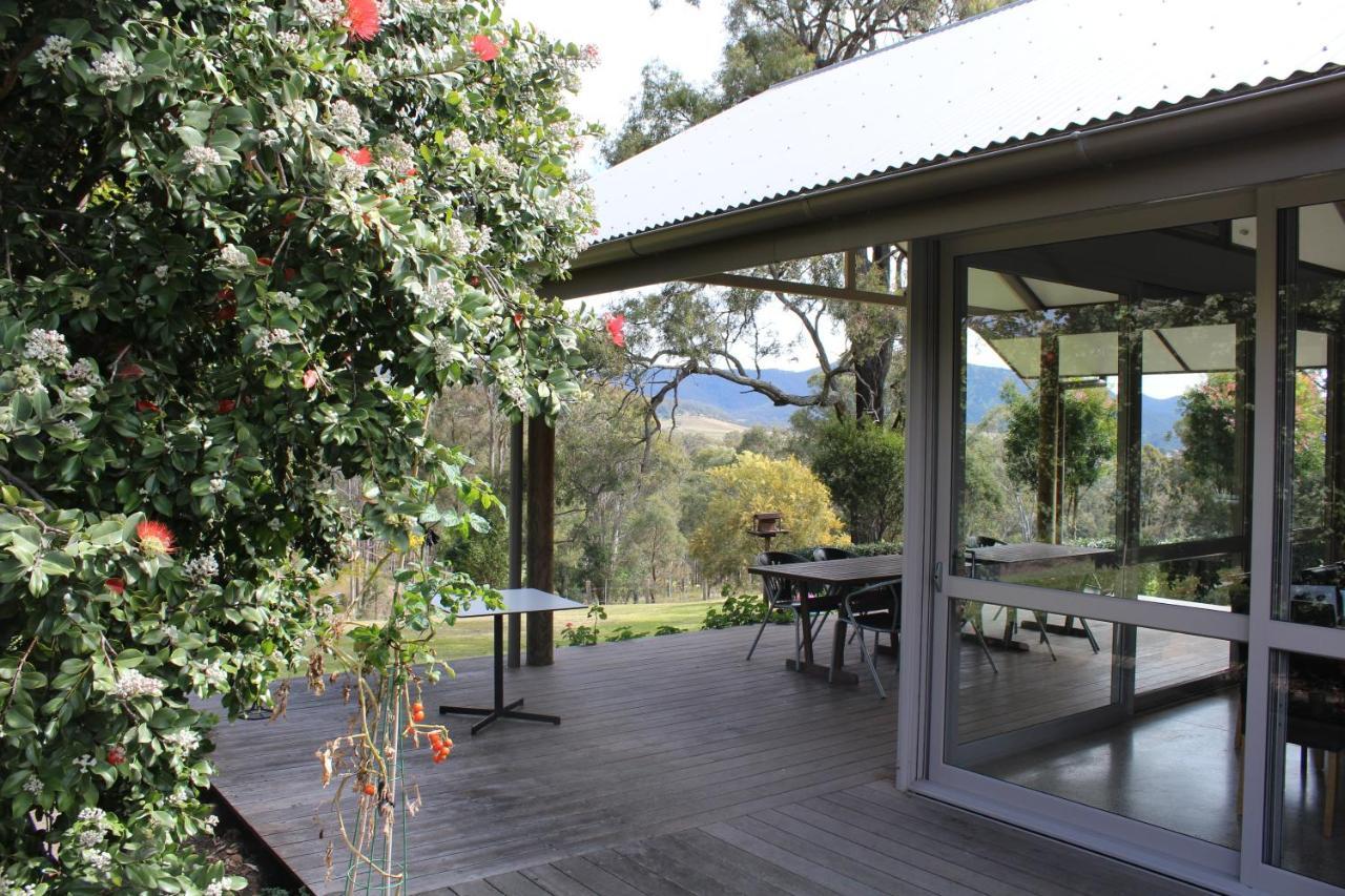Elfin Hill Vineyard Accommodation Pokolbin Exteriér fotografie